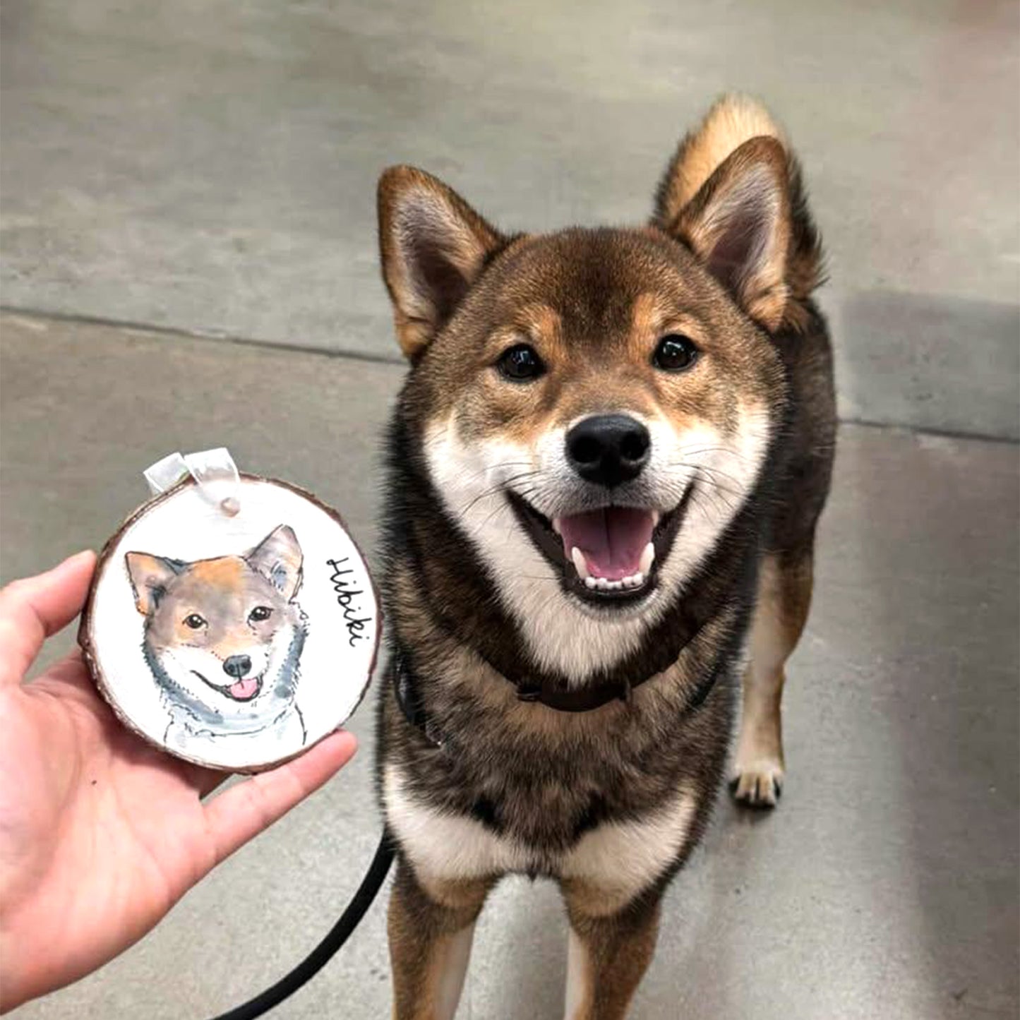 Custom Pet Portrait Wood Ornament