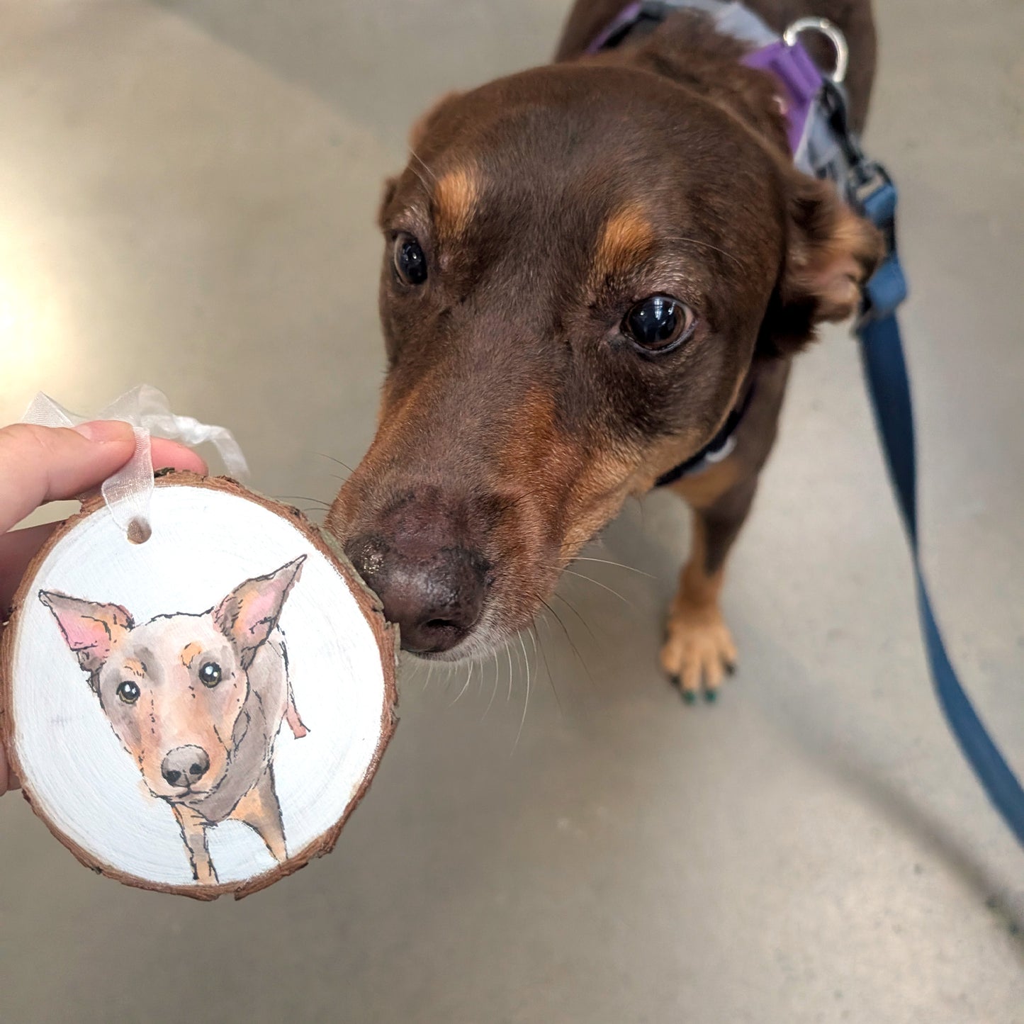 Custom Pet Portrait Wood Ornament